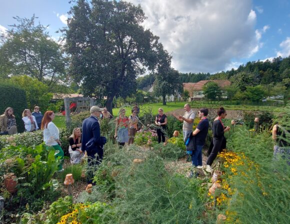 predavanja 🌿 VABILO NA DELAVNICO – Permakultura in ekološko kmetovanje